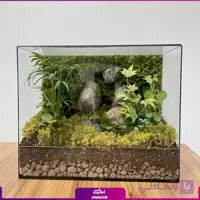 تراریوم VIP صخره‌ای