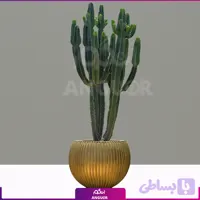 افوربیا اینگنس با گلدان فایبرگلاس طلایی (کد JQBQL)