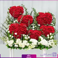 The Heart and Soul (طرح بین الملل )