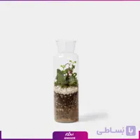 تراریوم با شیشه طرح آزمایشگاه
