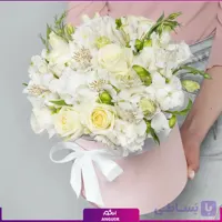 باکس گل رز، آلستر و لیسیانتوس