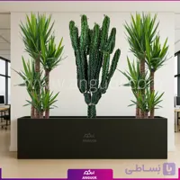فلاور باکس با یوکا و افوربیا