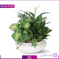 دیش گاردن (تحویل در امریکا)