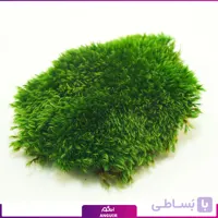 مود ماس تثبیت شده (1 متری)