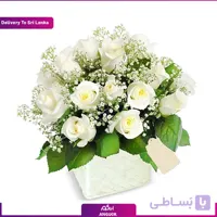 (Delivery in Sri Lanka) Pot Of White Roses
