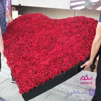 باکس گل رز قلبی 1000 شاخه (عاشقانه دوستت دارم!)