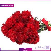 دسته گل میخک (تحویل در کانادا)