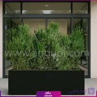 فلاور باکس افوربیا تیروکالی گلدان 120 سانتی