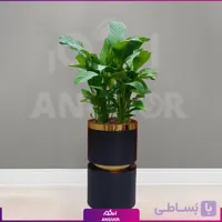 گلدان هدیه لوکس اسپاتی فیلوم فایبر گلاس کمر طلایی