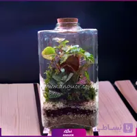 تراریوم طرح مثلثی