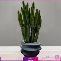 افوربیا اینگنس با گلدان فایبرگلاس طرح کهکشان