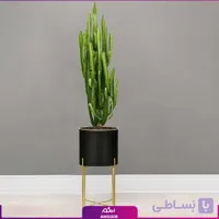 گلدان فلزی پایه دار با افوربیا تریگونا