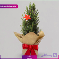 گل کریسمس عالی (تحویل در استرالیا)