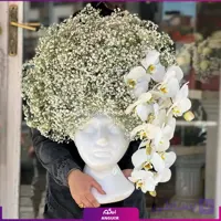 جام گل ژیپسوفیلیا به همراه ارکیده