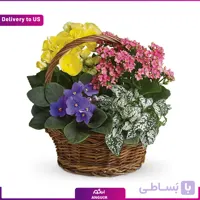 (Delivery to USA) Summer Floral Basket