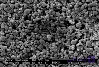 نانو پودر اکسید بیسموت NANO_Bi2O3 Bismuth Oxide Bi2O3 Nanopowder Nanoparticles (Bi2O3, 99.9%, 80nm)