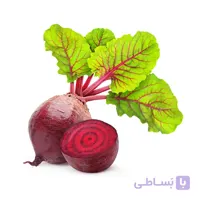 بذر لبو