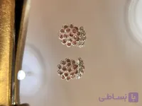 گوشواره میخی ابکاری نقره‌ نگین‌ زیرکونیا‌ کارشد