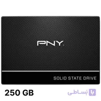 اس اس دی 250 گیگابایت PNY مدل CS900