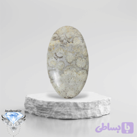 نگین فسیل مرجان بیضی