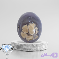 نگین شجربهاری زمینه آبی زیبا و کمنظیر