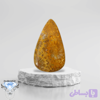نگین فسیل مرجان طبیعی اشک تراش