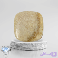نگین فسیل مرجان طبیعی و بسیارزیبا