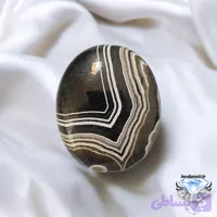 نگین داودی سیاه لامه دار طبیعی و زیبا | D0207