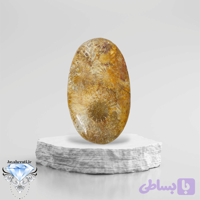 نگین مرجان فسیلی طبیعی