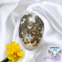 نگین عقیق داودی چشمدار یمنی معدنی و کمنظیر