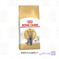 غذای خشک گربه بریتیش پرو رویال کنین وزن 13 کیلوگرم | Royal Canin British Shorthair Adult Pro