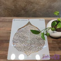 شابلون گل و گیاه ps48