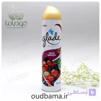 اسپری خوشبوکننده توت های وحشی WILD BERRIES ( گلید GLADE )