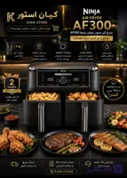 سرخ کن دو سبد نینجا مدل af300