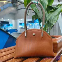 کیف مجلسی دلوینا
