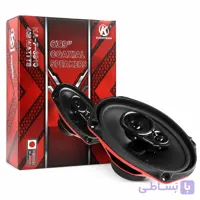 اسپیکر بیضی خودرو برند کاشیما مدل KF-6910 بسته دوعددی