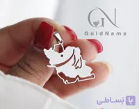 پلاک استیل ایران با زنجیر دیپلمات رنگ ثابت