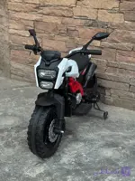موتور شارژی بنلی 1251