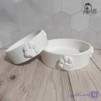 ظرف پت سرامیک خام