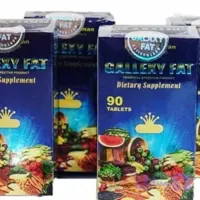 قرص چاقی گلکسی فت 90عددی حجم دهنده کل بدن(آرایشی سارینا)