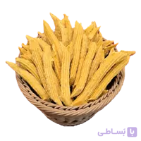 زردآلو پیچ انبه