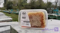 عسل نوچ جنگل با موم 700 گرمی