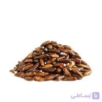 چلغوز برشته