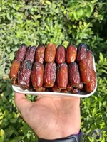 خرما نغار(نگار) درجه یک