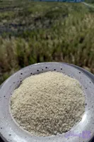 نیم دانه هاشمی - 10 کیلویی