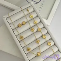 سرویس ونکلیف طلایی استیل