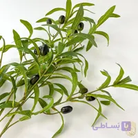 شاخه زیتون مصنوعی(تک شاخه) sh751
