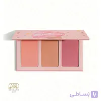 پالت رژگونه سه رنگ Enamored شیگلم