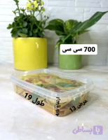 ظروف فریزری700سی سی