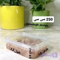 ظروف فریزری250سی سی